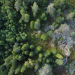 Ilmakuva vaaraluonnosta