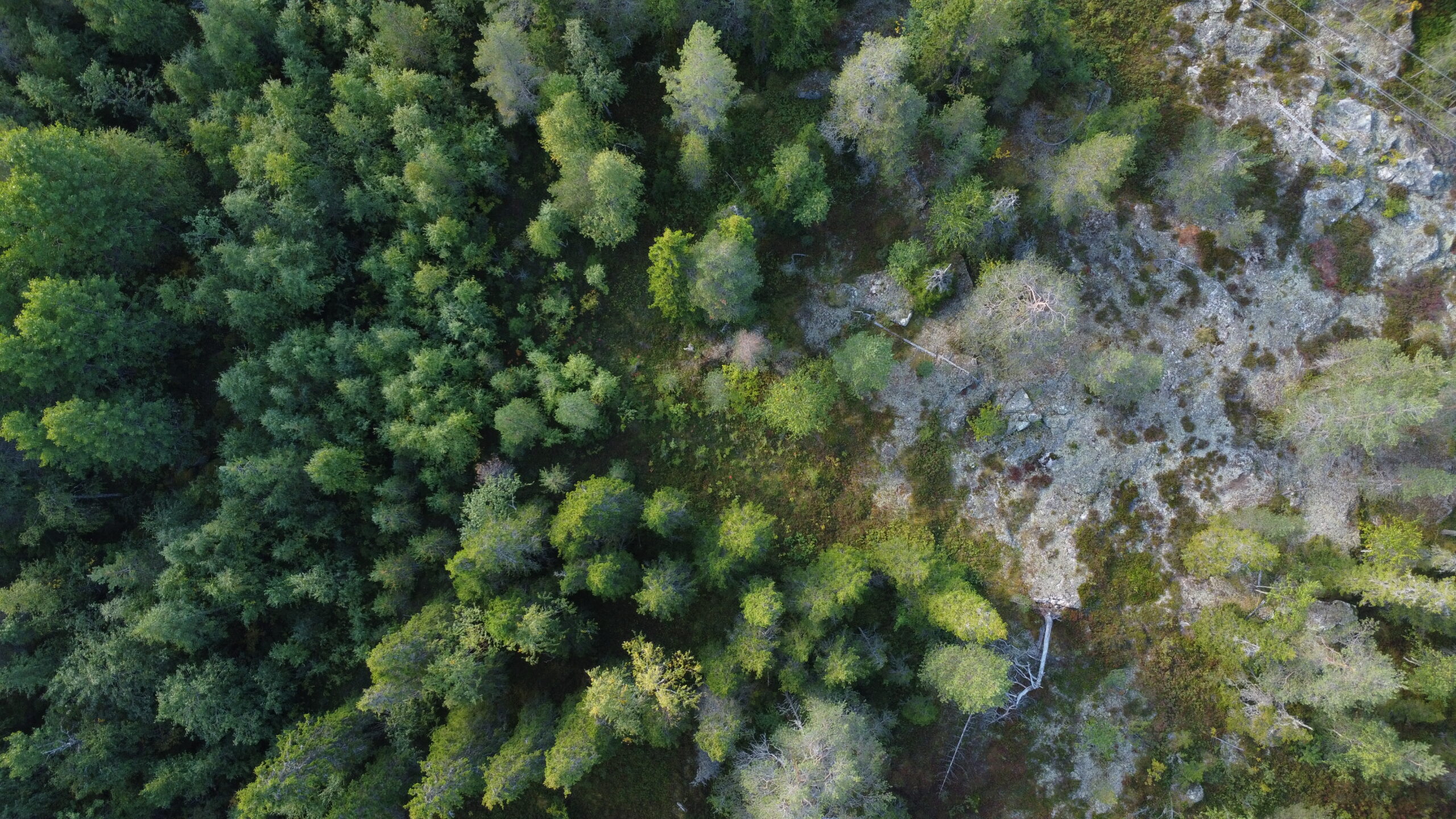 Ilmakuva vaaraluonnosta