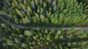 Vapun ajan poikkeusaukioloajat 2026