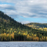 Teatteri Pyhä: Jäniksen vuosi kuva