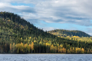 Teatteri Pyhä: Jäniksen vuosi