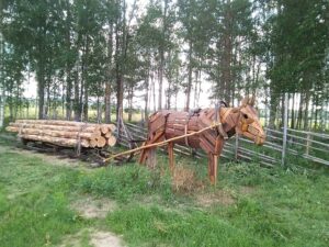 Savottapihan syysmarkkinat